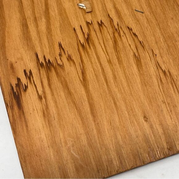 Vintage Coby Wall Art Decoupage Barnyard Bosses Chicken Herding Dog Apple Tree - Picture 7 of 7